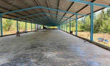 TERRENO VENTA PARA GRANJA DE ENGORDA DE POLLOS MUY CERCA DE CANCUN