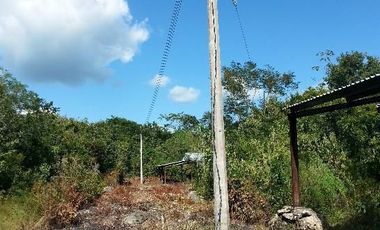 TERRENO VENTA PARA GRANJA DE ENGORDA DE POLLOS MUY CERCA DE CANCUN