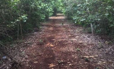 VENTA RANCHO MEZCALERO Y DE MADERAS EN KANTUNIL YUCATAN