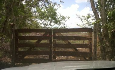 VENTA RANCHO MEZCALERO Y DE MADERAS EN KANTUNIL YUCATAN