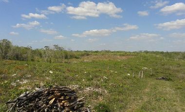 VENTA RANCHO MEZCALERO Y DE MADERAS EN KANTUNIL YUCATAN