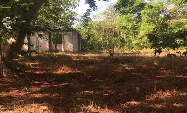 VENTA RANCHO MEZCALERO Y DE MADERAS EN KANTUNIL YUCATAN