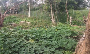 VENTA QUINTA EN KANASIN YUCATAN