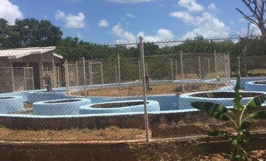 VENTA QUINTA EN KANASIN YUCATAN