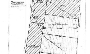 Rancho de 703 hectáreas en Tekax