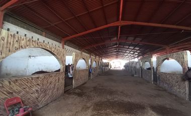 Rancho con Caballerizas en venta, Escobedo N.L.