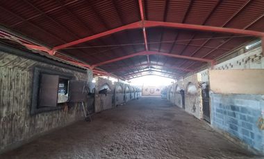 Rancho con Caballerizas en venta, Escobedo N.L.