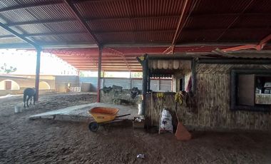 Rancho con Caballerizas en venta, Escobedo N.L.