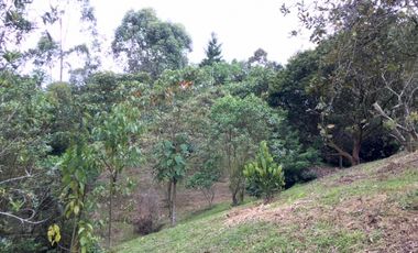 Lote en venta en Marinilla