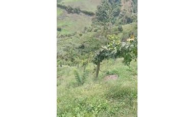 Lote en Venta Mantequilla Armenia - Antioquia