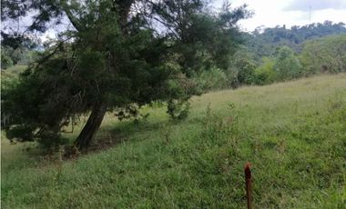venta de lotes en caldas vereda la quiebra