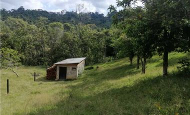 venta de lotes en caldas vereda la quiebra
