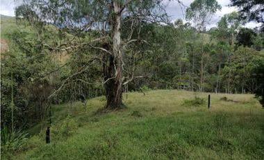venta de lotes en caldas vereda la quiebra