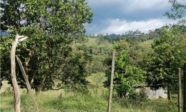 venta de lotes en caldas vereda la quiebra