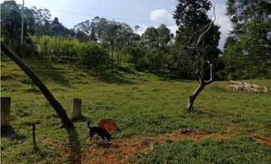 venta de lotes en caldas vereda la quiebra