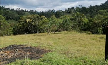 venta de lotes en caldas vereda la quiebra