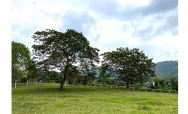 Lote en Venta La Clarita Amaga