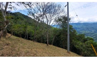 Venta lote Titiribi