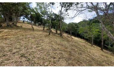 Venta lote Titiribi