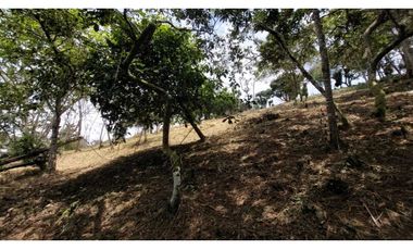 Venta lote Titiribi