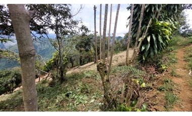 Venta lote Titiribi