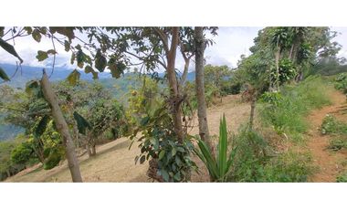 Venta lote Titiribi