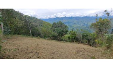 Venta lote Titiribi