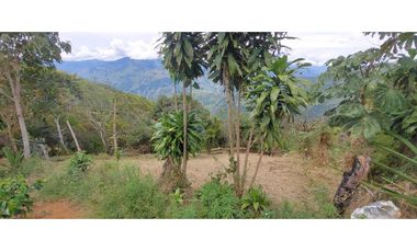 Venta lote Titiribi