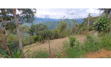 Venta lote Titiribi