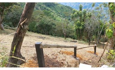 Venta lote Titiribi
