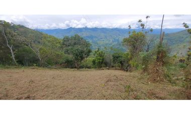 Venta lote Titiribi