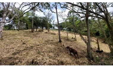 Venta lote Titiribi