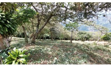 Venta lote Titiribi