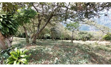 Venta lote Titiribi
