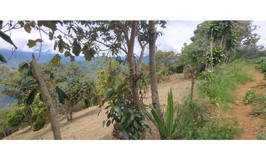 Venta lote Titiribi