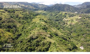 venta lote san jeronimo