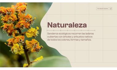 venta lote san jeronimo