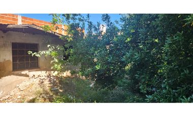 ASIA 5673 (entre Roma y Tokio)