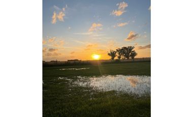 Chalet 4 amb. A estrenar. Costa del Sol. Mar Chiquita.