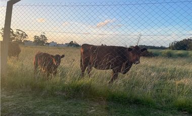 Chalet 4 amb. A estrenar. Costa del Sol. Mar Chiquita.