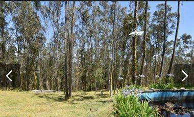 HERMOSO TERRENO EN VENTA, SECTOR TARQUI