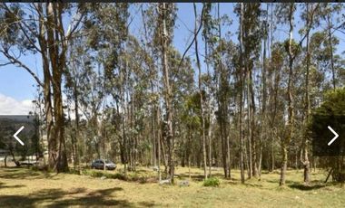 HERMOSO TERRENO EN VENTA, SECTOR TARQUI