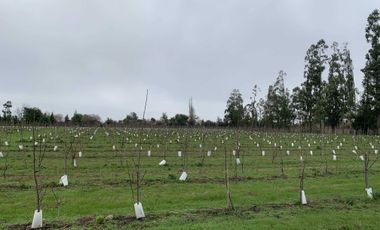 Parcela en venta en LOS ANGELES