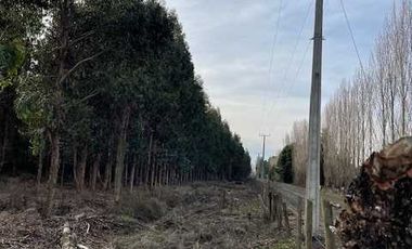 Parcela en venta en CABRERO