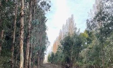 Parcela en venta en CABRERO