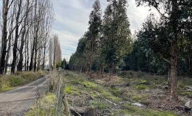Parcela en venta en CABRERO