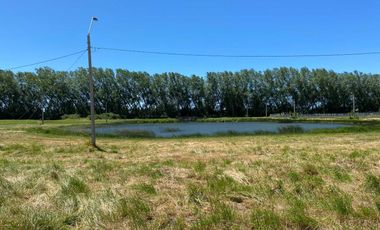 Parcela en venta en NEGRETE