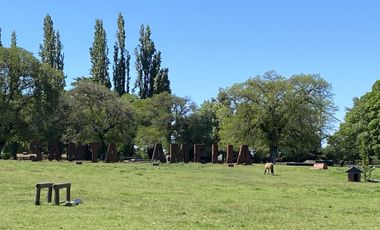 Parcela en venta en NEGRETE