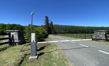 Parcela en venta en NEGRETE