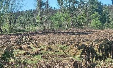 Parcela en venta en MULCHÉN